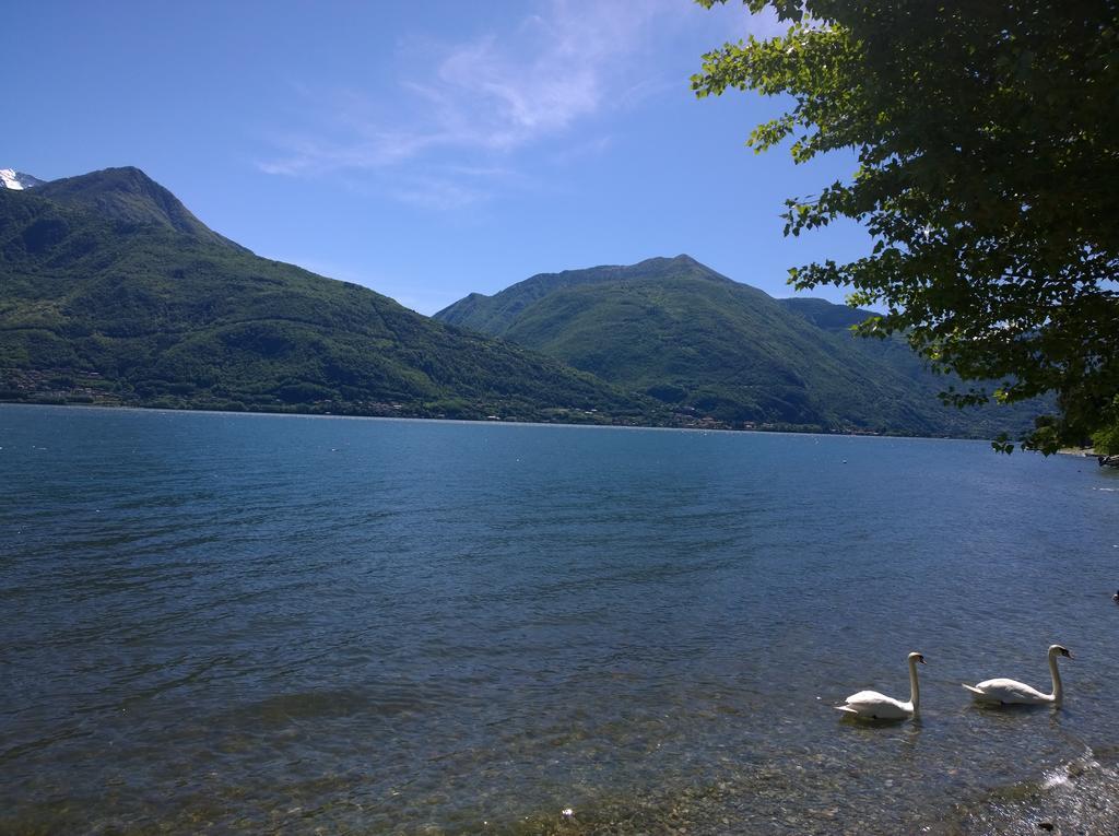 Apartamento Venanzio! Pianello Del Lario Exterior foto